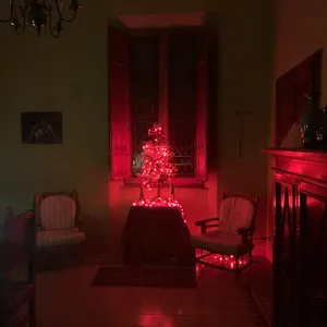 Casa Benvenuti Guest house